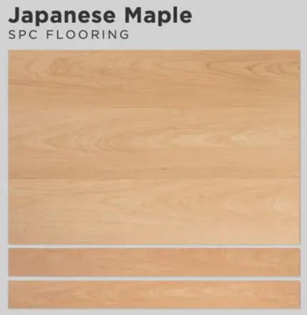 SPC MARVEL 5 mm Purecore Japanese Maple